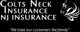 Colts Neck Insurance, Logo